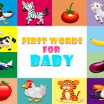 Baby First Words