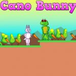 Cano Bunny